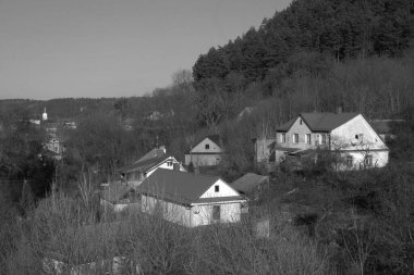 Ukrayna köyündeki ahşap ev. Ormanın kıyısındaki köy. Eski harap ev