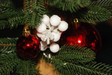 Merkez meydandaki Noel Ağacı