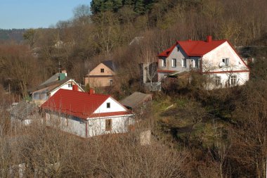 Ukrayna köyündeki ahşap ev. Ormanın kıyısındaki köy. Eski harap ev 