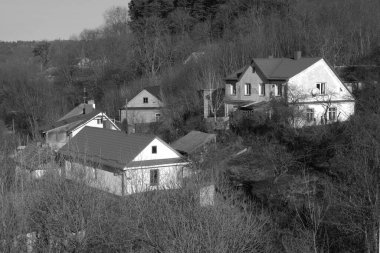 Ukrayna köyündeki ahşap ev. Ormanın kıyısındaki köy. Eski harap ev 