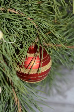 Merkez meydandaki Noel Ağacı