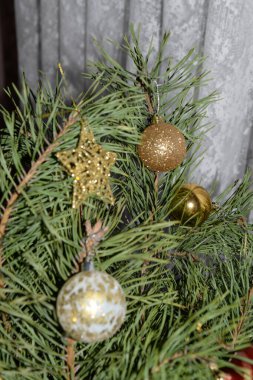 Merkez meydandaki Noel Ağacı