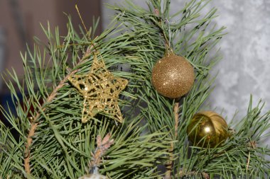 Merkez meydandaki Noel Ağacı