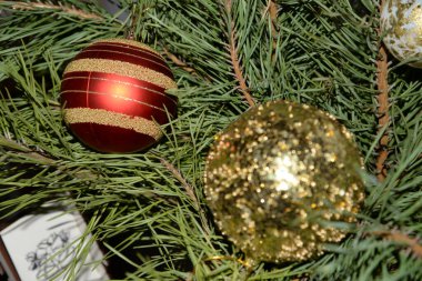 Merkez meydandaki Noel Ağacı