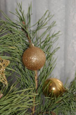 Merkez meydandaki Noel Ağacı