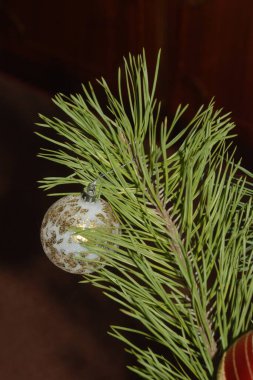 Merkez meydandaki Noel Ağacı