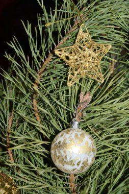 Merkez meydandaki Noel Ağacı