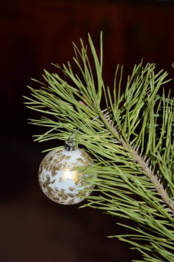 Merkez meydandaki Noel Ağacı