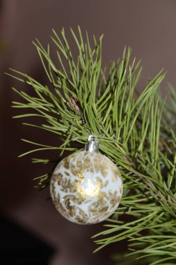 Merkez meydandaki Noel Ağacı