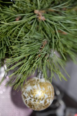 Merkez meydandaki Noel Ağacı