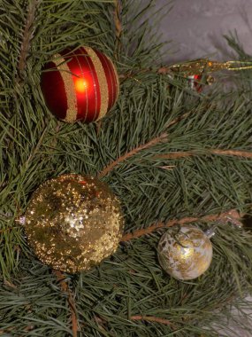 Merkez meydandaki Noel Ağacı