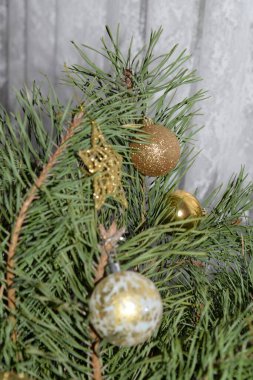 Merkez meydandaki Noel Ağacı