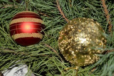 Merkez meydandaki Noel Ağacı