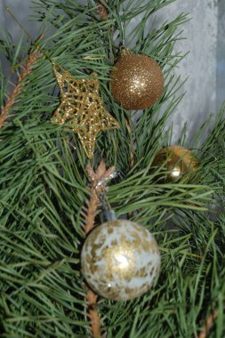 Merkez meydandaki Noel Ağacı