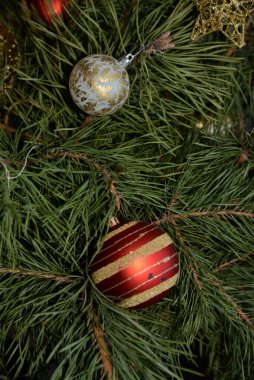 Merkez meydandaki Noel Ağacı