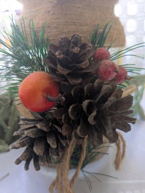 Koni (lat. Strobilus) değiştirilmiş bir çekim.