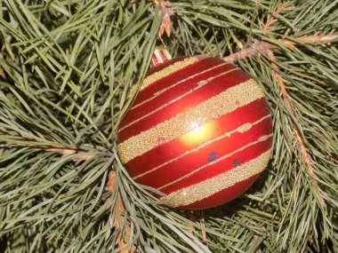 Merkez meydandaki Noel Ağacı