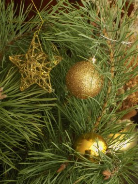 Merkez meydandaki Noel Ağacı