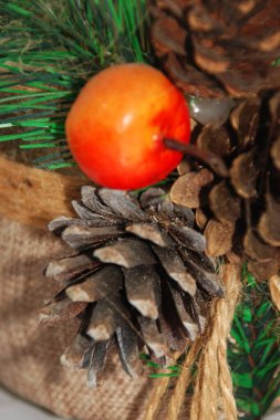 Koni (lat. Strobilus) değiştirilmiş bir çekim.