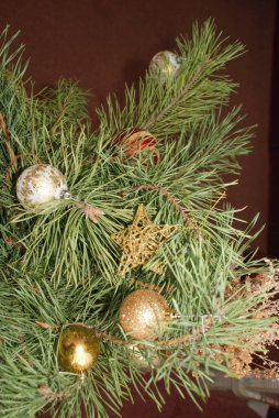 Merkez meydandaki Noel Ağacı