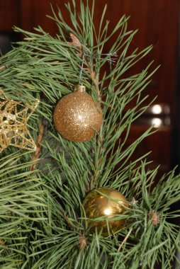 Merkez meydandaki Noel Ağacı