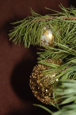 Merkez meydandaki Noel Ağacı