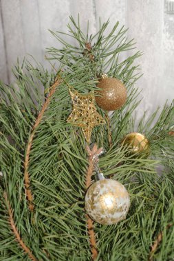 Merkez meydandaki Noel Ağacı