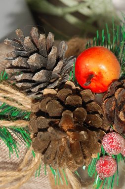 Koni (lat. Strobilus) değiştirilmiş bir çekim.