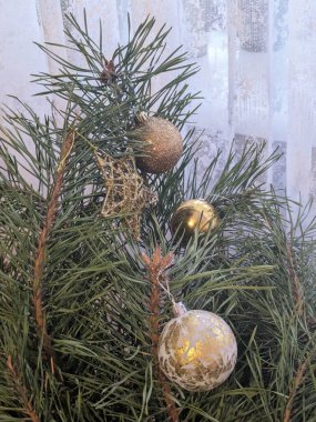 Merkez meydandaki Noel Ağacı