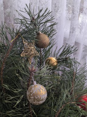 Merkez meydandaki Noel Ağacı