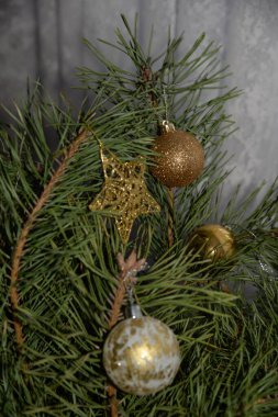 Merkez meydandaki Noel Ağacı