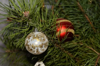 Merkez meydandaki Noel Ağacı