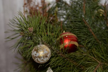 Merkez meydandaki Noel Ağacı