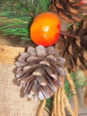 Koni (lat. Strobilus) değiştirilmiş bir çekim.