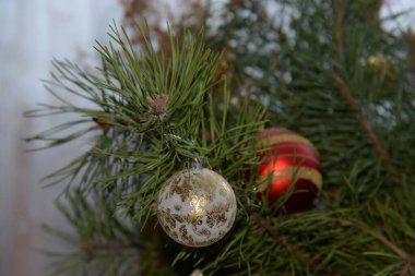 Merkez meydandaki Noel Ağacı