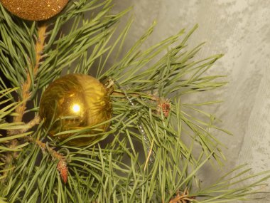 Merkez meydandaki Noel Ağacı