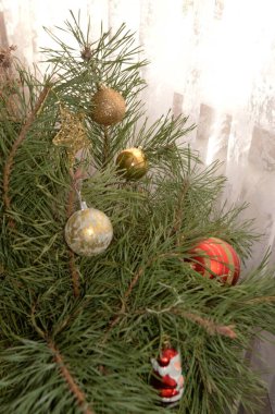 Merkez meydandaki Noel Ağacı