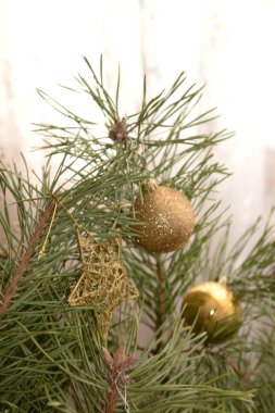 Merkez meydandaki Noel Ağacı