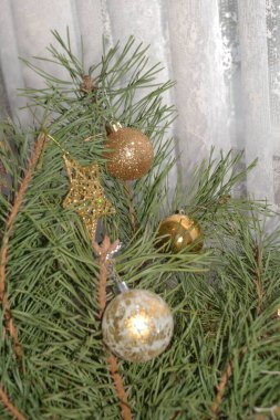 Merkez meydandaki Noel Ağacı