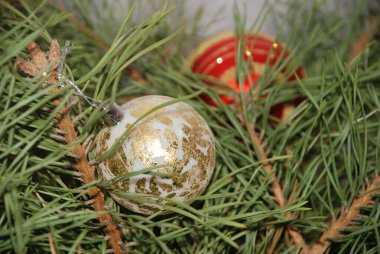 Merkez meydandaki Noel Ağacı