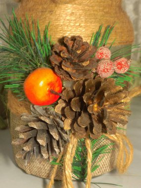 Koni (lat. Strobilus) değiştirilmiş bir çekim.