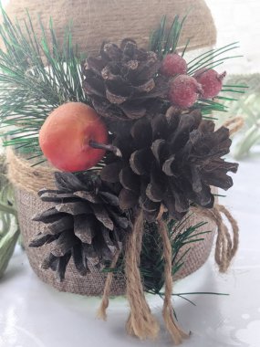 Koni (lat. Strobilus) değiştirilmiş bir çekim.