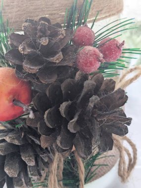 Koni (lat. Strobilus) değiştirilmiş bir çekim.