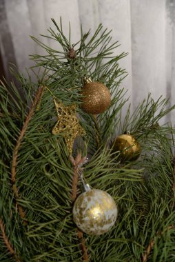 Merkez meydandaki Noel Ağacı