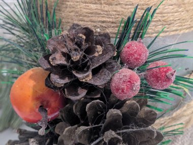 Koni (lat. Strobilus) değiştirilmiş bir çekim.