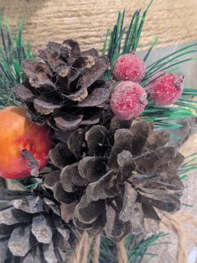 Koni (lat. Strobilus) değiştirilmiş bir çekim.