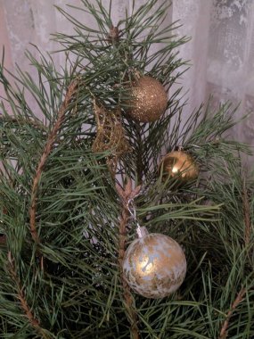 Merkez meydandaki Noel Ağacı