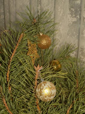 Merkez meydandaki Noel Ağacı