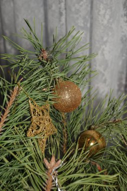 Merkez meydandaki Noel Ağacı