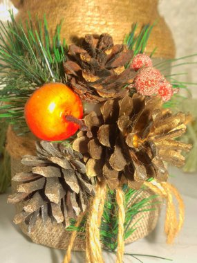 Koni (lat. Strobilus) değiştirilmiş bir çekim.